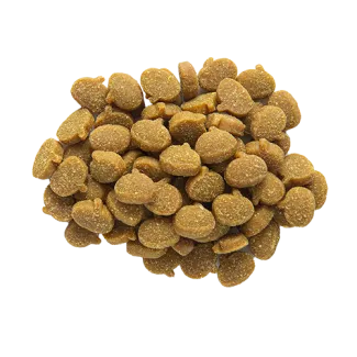  Zukes Mini Naturals pumpkin shaped dog treats