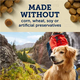 Golden retriever hiking with text, made without corn, wheat, soy, or artificial preservatives.