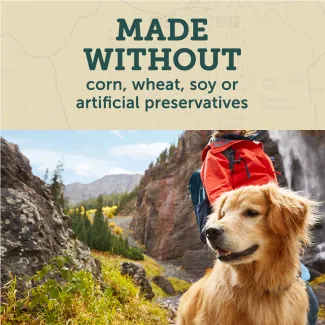 Golden retriever hiking with text, made without corn, wheat, soy, or artificial preservatives.